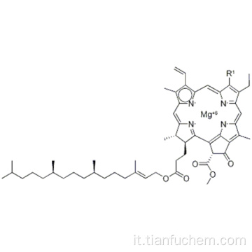 CLOROPHYLL CAS 1406-65-1